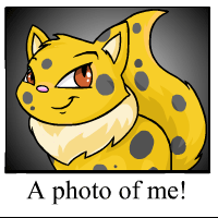 https://images.neopets.com/template_images/wocky_spotted_me.gif