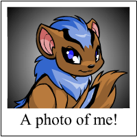 https://images.neopets.com/template_images/xweetok_blue_me.gif