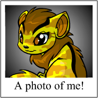 https://images.neopets.com/template_images/xweetok_camouflage_me.gif