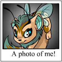 https://images.neopets.com/template_images/xweetok_faerie_me.gif
