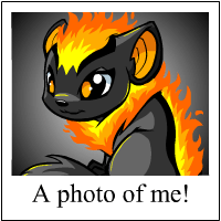 https://images.neopets.com/template_images/xweetok_fire_me.gif