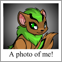 https://images.neopets.com/template_images/xweetok_green_me.gif