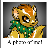 https://images.neopets.com/template_images/xweetok_island_me.gif