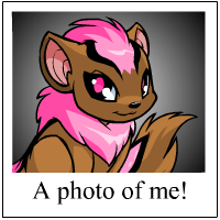 https://images.neopets.com/template_images/xweetok_pink_me.gif