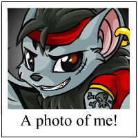 https://images.neopets.com/template_images/xweetok_pirate_me.gif