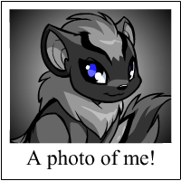 https://images.neopets.com/template_images/xweetok_shadow_me.gif