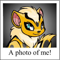 https://images.neopets.com/template_images/xweetok_spotted_me.gif