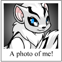 https://images.neopets.com/template_images/xweetok_white_me.gif