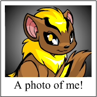 https://images.neopets.com/template_images/xweetok_yellow_me.gif