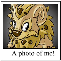https://images.neopets.com/template_images/yurble_biscuit_me.gif