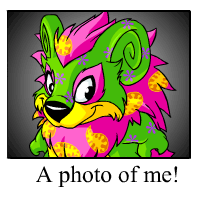 https://images.neopets.com/template_images/yurble_disco_me.gif