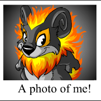 https://images.neopets.com/template_images/yurble_fire_me.gif
