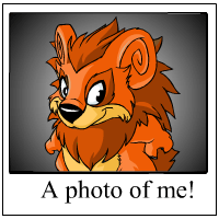 https://images.neopets.com/template_images/yurble_orange_me.gif
