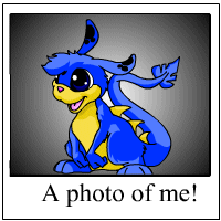 https://images.neopets.com/template_images/zafara_blue_me.gif
