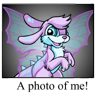 https://images.neopets.com/template_images/zafara_faerie_me.gif