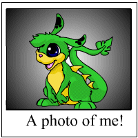https://images.neopets.com/template_images/zafara_green_me.gif