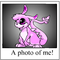 https://images.neopets.com/template_images/zafara_pink_me.gif