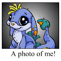 https://images.neopets.com/template_images/zafara_plushie_me.gif