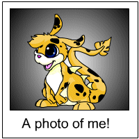 https://images.neopets.com/template_images/zafara_spotted_me.gif