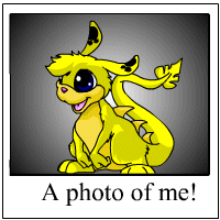 https://images.neopets.com/template_images/zafara_yellow_me.gif