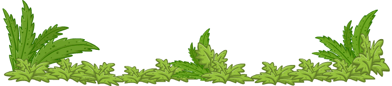 https://images.neopets.com/wheels/h5/mediocrity/images/borderbottom.png